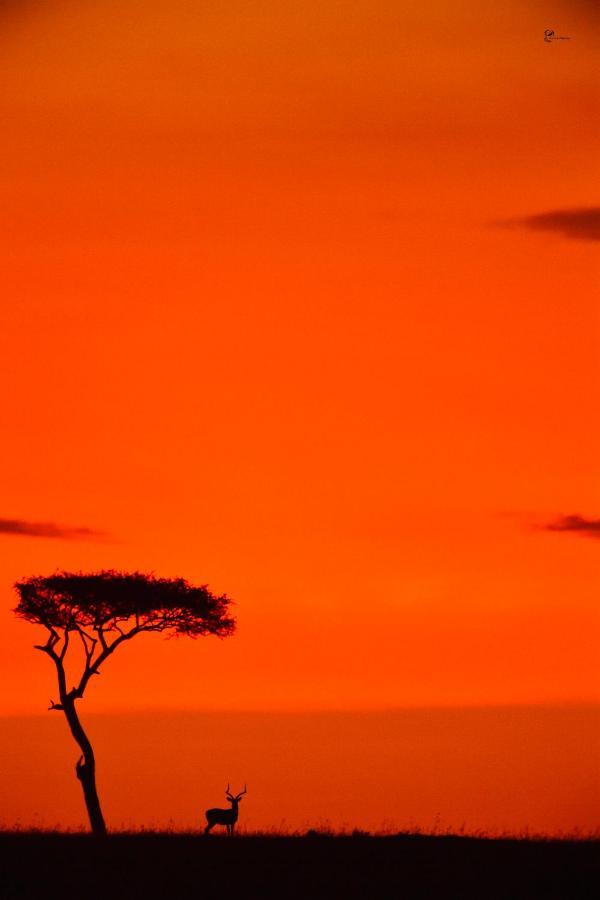 Lorian Safari Camp Limited Hotel Narok Exterior foto